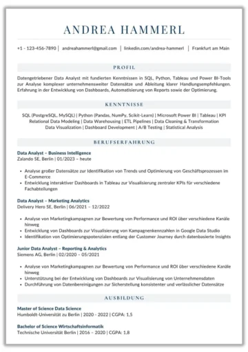 Lebenslauf Vorlage Data Analyst Word