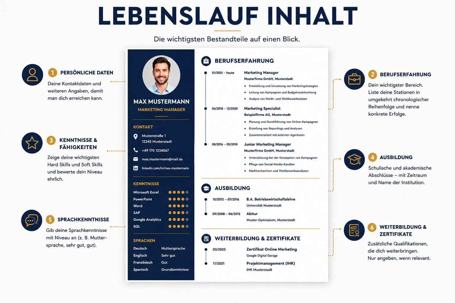 Infografik zum Lebenslauf Inhalt mit den wichtigsten Bestandteilen eines modernen Lebenslaufs: persönliche Daten, Berufserfahrung, Ausbildung, Kenntnisse, Sprachkenntnisse und Zertifikate.